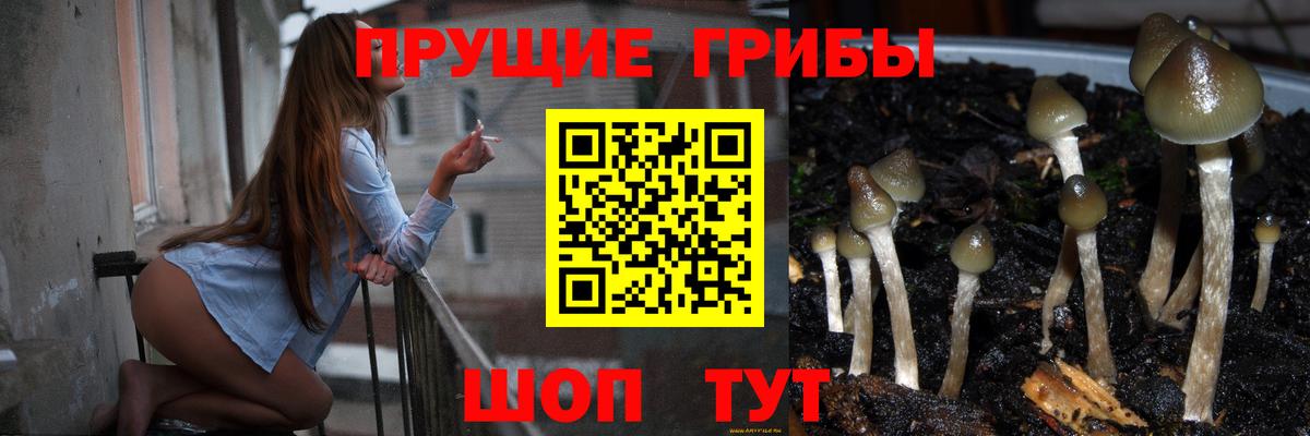 Галлюциногенные грибы мухоморы  Вход с VPN  Дюртюли  Псилоцибиновые грибы Psilocybe 